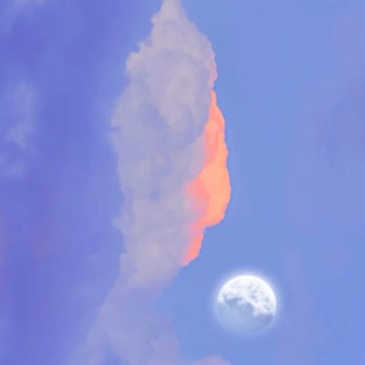 คริส พีรวัส avatar